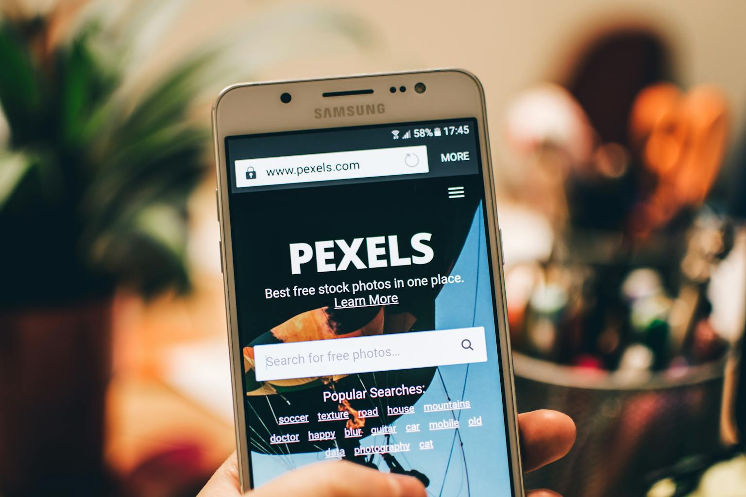 Tools SEO Gratis yang Wajib Digunakan Blogger