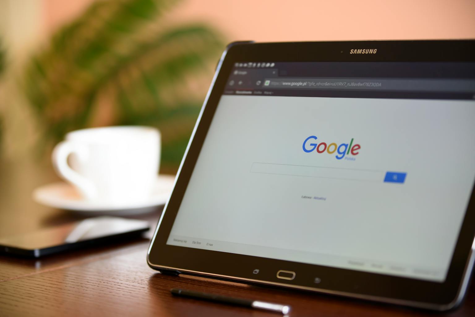 Tools SEO Gratis yang Wajib Digunakan Blogger